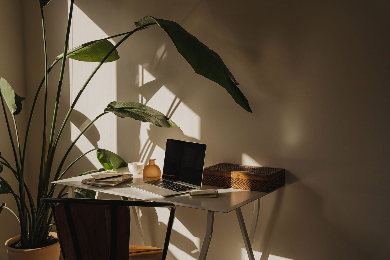 Stillvoller Arbeitsplatz mit harmonischer natürlichen Einrichtung im minimalistischen Design mit Holzobjekte, einer Strelitzie und stilvollen Deko-Objekten